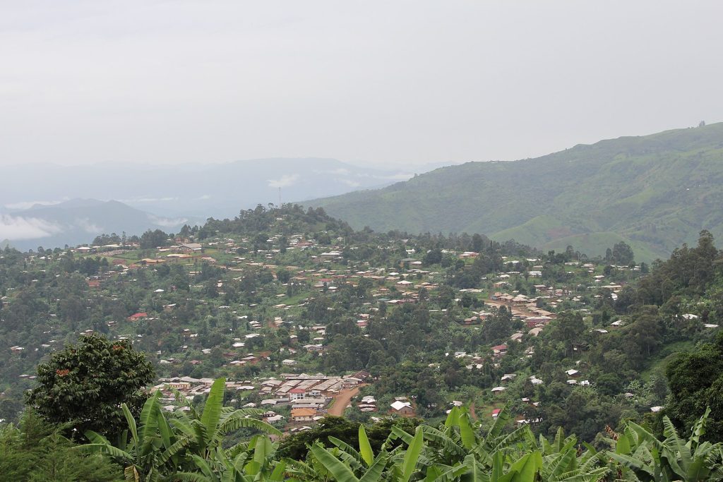 Bamenda Highlands