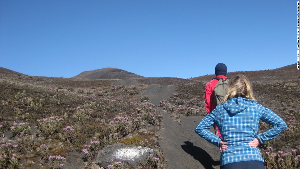 Mount Cameroon
