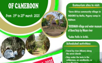 Ecotourism Hike – Discover Cameroon